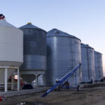 How to minimize grain spoilage risk in the bin