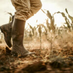 Glacier FarmMedia has compiled an online resource for farmers who are feeling the brunt of drought this year.