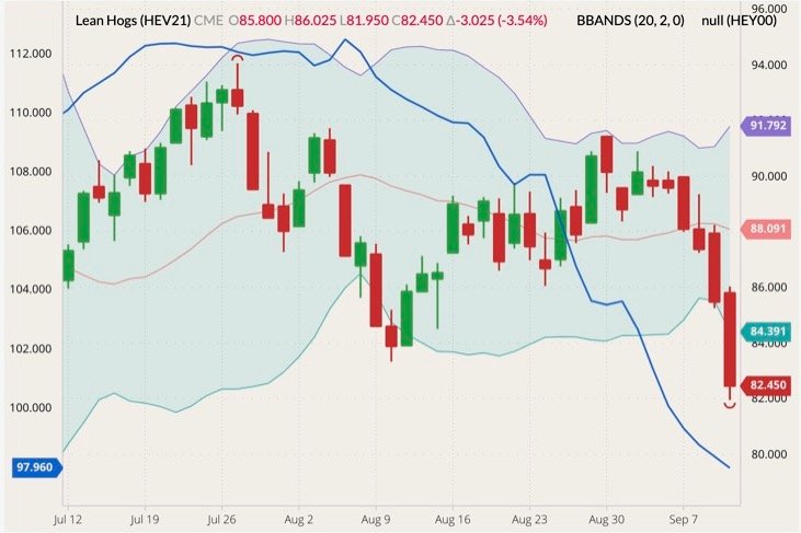 CME October 2021 lean hogs (candlesticks) with Bollinger bands (20,2) and CME lean hog cash index (blue line, left column). (Barchart)
