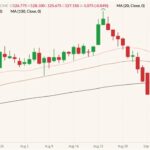 CME December 2021 live cattle (candlesticks) with 20-, 50- and 100-day moving averages (pink, brown and black lines). (Barchart)