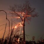 A tract of Amazon jungle burns as it is cleared by farmers at Rio Pardo in Brazil’s Rondonia state on Sept. 15, 2019. (File photo: Reuters/Ricardo Moraes)