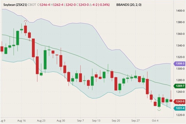 CBOT November 2021 soybeans (candlesticks) with Bollinger bands (20,2). (Barchart)
