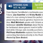 This week on ‘Between The Rows’