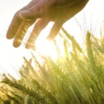 Toban Dyck: What I love about farming