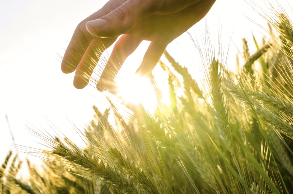 Toban Dyck: What I love about farming