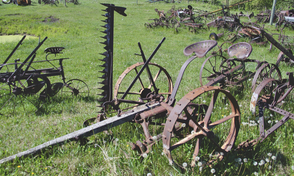 horse-drawn Deering mower