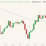 CBOT January 2022 soybeans (candlesticks) with 20- and 50-day moving averages (yellow and dark green lines). (Barchart)
