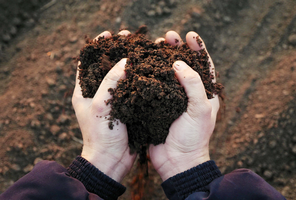 Soil testing will be more important than ever this fall or next spring.