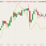 ICE March 2022 canola (candlesticks) with November 2022 canola (yellow line, left column). (Barchart)
