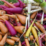 In a family committed to homemade gifts, food is often the medium that makes the rounds as presents.