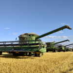 With dry conditions in southwest Manitoba in 2021, Bill Nicholson harvested a crop that was about a half to two-thirds of a normal yield. He’s expecting it to be another dry growing season in 2022.