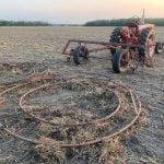 Those two large metal circles attached to the back of the tractor are harrows. Hardman notes they date back to the 1940s or ’50s. They leave a “wiggly, squiggly” pattern in the soil because they are constantly moving and cleaning themselves when in use, he says.