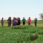 Agriculture and Agri-Food Canada researcher Brian Beres leads a tour through some of the Farming Smarter plots demonstrating the growth stages of durum seeded after different times in late winter and early spring as part of ultra-early seeding research work.