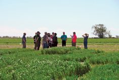 Agriculture and Agri-Food Canada researcher Brian Beres leads a tour through some of the Farming Smarter plots demonstrating the growth stages of durum seeded after different times in late winter and early spring as part of ultra-early seeding research work.