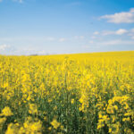 Record-keeping can play an important role in keeping track of crop protection products you’ve applied.