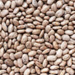 Nitrogen fertilizer requirements for dry beans: new emerging guidelines