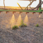 In 2015, Amazone had developed technology capable of identifying weeds in fallow fields and selectively spraying them. Now the company is field testing a sprayer that can identify weeds in a growing crop.