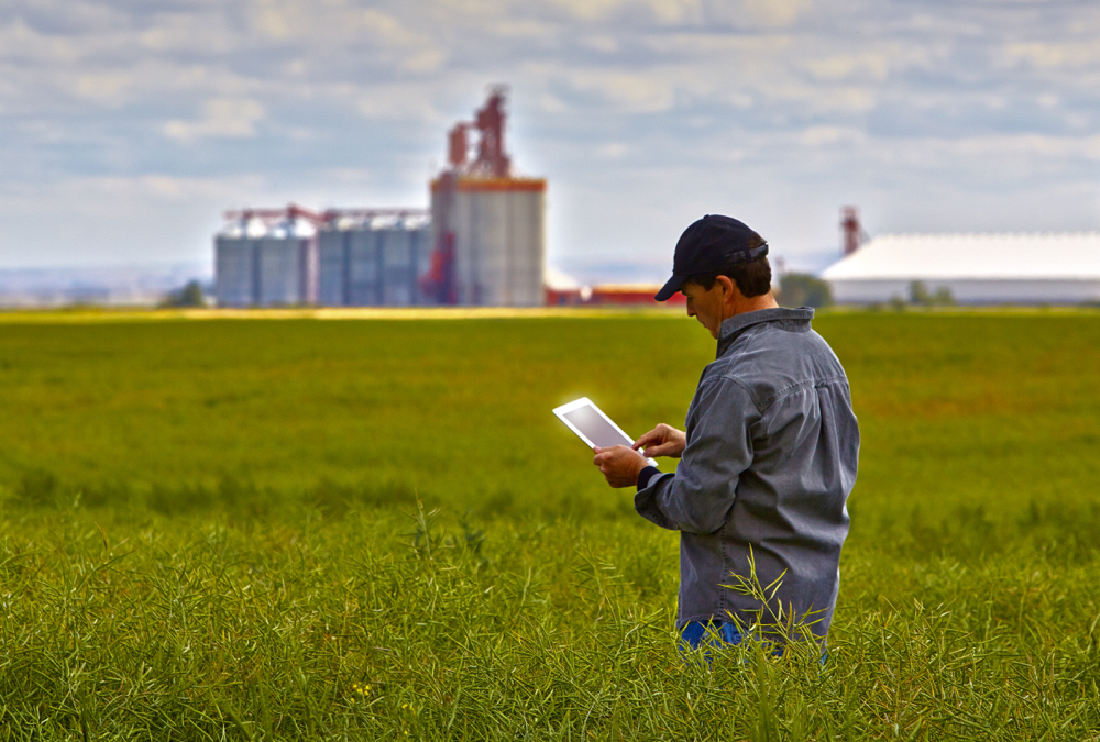 A connected farm is an efficient farm