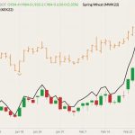 CBOT May 2022 wheat (candlesticks) with MGEX May 2022 wheat (orange O/H/L/C) and K.C. May 2022 wheat (black line). (Barchart)