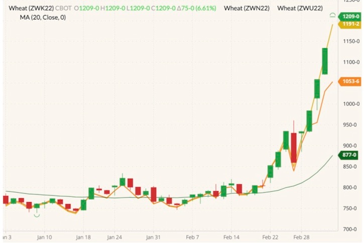 CBOT May 2022 wheat (candlesticks) with 20-day moving average (dark green line) and CBOT July 2022 and September 2022 wheat (yellow and orange lines). (Barchart)
