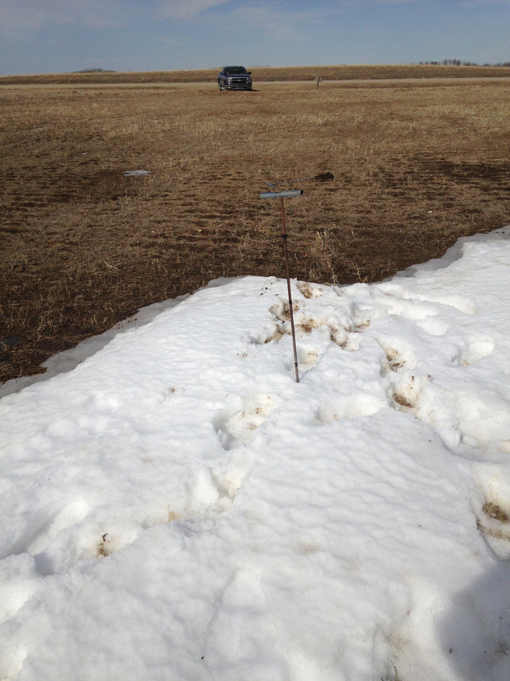 This photo, from the July 2021 issue of Grainews, was taken on March 19 but the soil moisture data is from April 1. Spring snowmelt was early with little to no runoff. By that time, it was known the depth of snow and resulting depth of moist soil was highly variable over the quarter section. Soil temperature at three to four inches was 5 C or higher long before May 1.