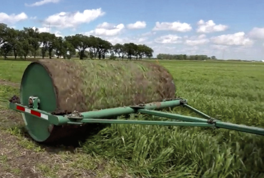 Roll Roll Roll Your Fields Grainews