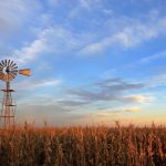 File photo of a cornfield in Argentina. (Reisegraf/iStock/Getty Images)