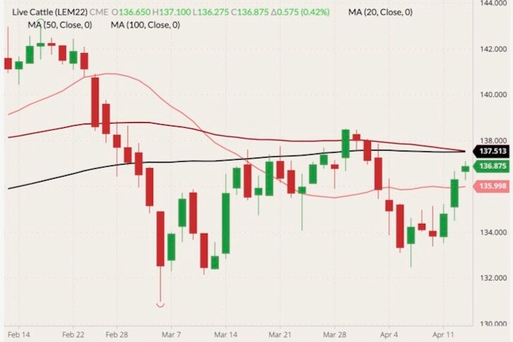 CME June 2022 live cattle (candlesticks) with 20-, 50- and 100-day moving averages (pink, dark red and black lines). (Barchart)
