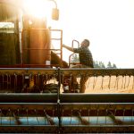 Canadian farmers are a diverse bunch. To an outsider looking in, though, these great attributes, which are deserving of celebration and promotion, are often hidden under a veneer of homogeneity.