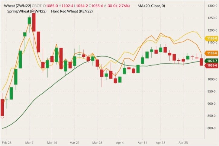 CBOT July 2022 wheat (candlesticks) with 20-day moving average (green line), MGEX July 2022 spring wheat (yellow line) and K.C. July 2022 hard red wheat (orange line). (Barchart)
