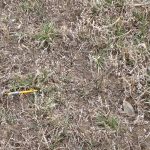 Photo taken on April 10, 2021. Still doubtful.