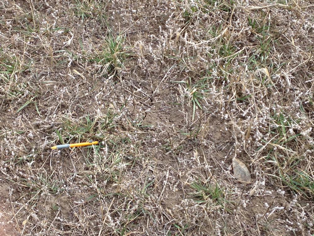 Photo taken on April 10, 2021. Still doubtful.