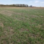 Photo taken on May 17, 2021. Finally. Looking promising.