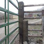 Bolting two railway ties together to make an extra long and strong gatepost, makes it possible to dig the post deep into the ground so hopefully it won’t be lifted by frost, regardless of moisture conditions.