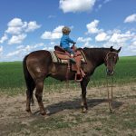Being a quiet old horse Juan the Sailor was an excellent first horse for
Joseph to get use to being in the saddle. Joseph always had good
balance and nothing but confidence around old Juan.