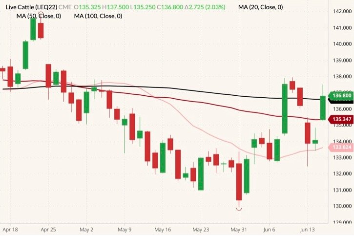 CME August 2022 live cattle (candlesticks) with 20-, 50- and 100-day moving averages (pink, dark red and black lines). (Barchart)
