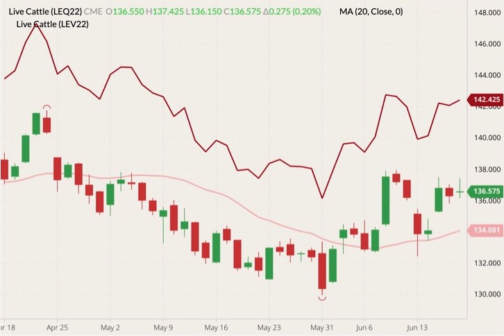 CME August 2022 live cattle (candlesticks) with 20-day moving average (pink line) and October 2022 live cattle (dark red line). (Barchart)
