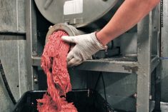 An original proposal by Health Canada to label ground beef as high in saturated fat has been shelved.  Photo: Jeff Haynes/Reuters