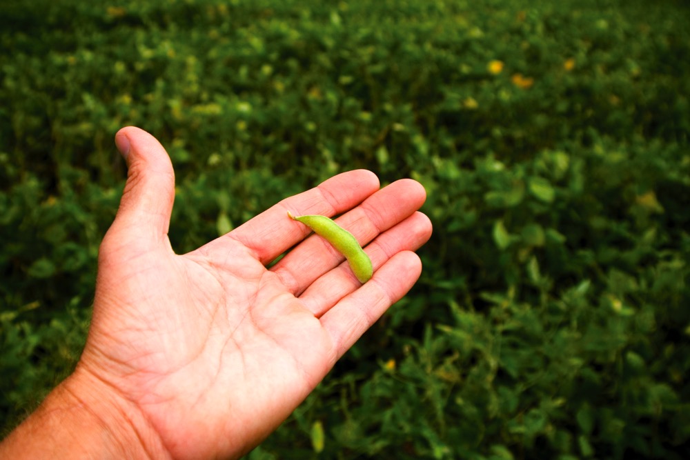 Photo: Thinkstock
