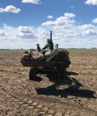No matter the growing conditions it seems like there is always another crop of rocks to be picked.