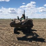 No matter the growing conditions it seems like there is always another crop of rocks to be picked.