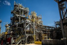 BASF&#8217;s dicamba production facility in Beaumont, Tex. (BASF.com)
