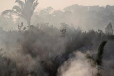 Smoke billows during a fire in an area of the Amazon rainforest near Humaita, Amazonas State, Brazil on Aug. 14, 2019. (Photo: Reuters/Ueslei Marcelino)
