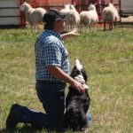 Jared Epp speaks to the crowd at AiM 2022 about stock dogs and herding. (Liam O’Connor photo)
