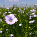 Photo: File