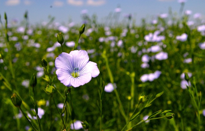 Photo: File
