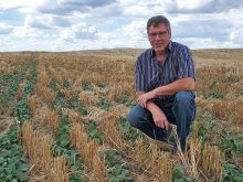 Maintaining and improving soil organic matter is vital to crop production and soil health. I consider the soil micro-organisms much like a feedlot — I have to think about feeding the soil biology.” – Tim Nerbas.