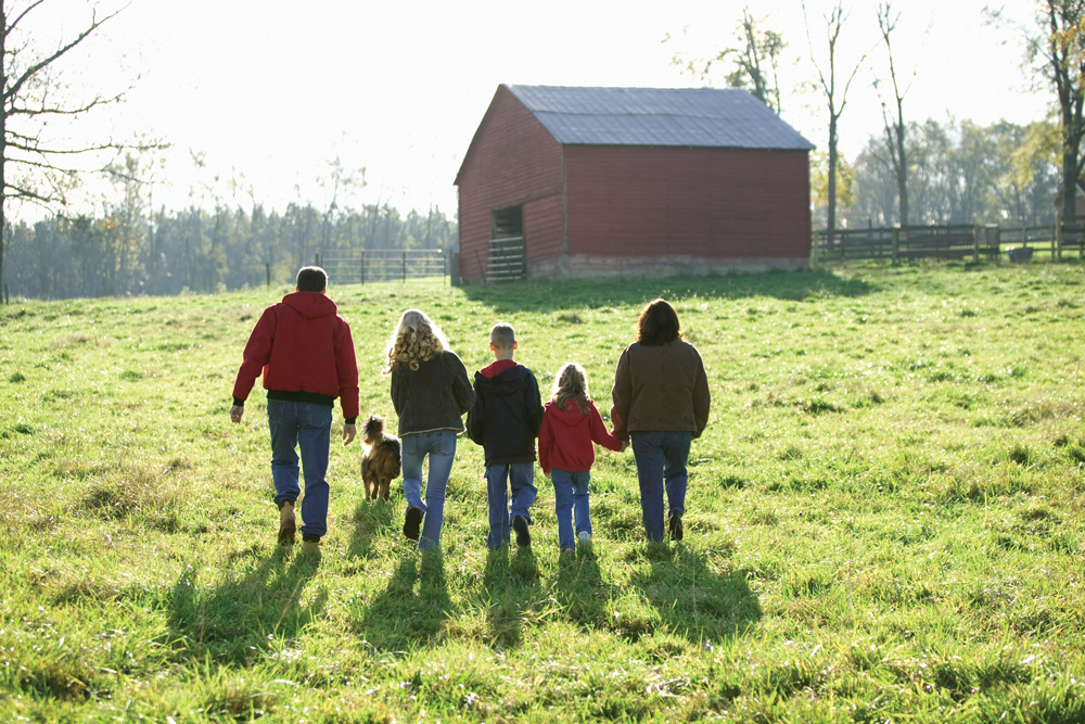 Get your farm finances on track to reduce stress