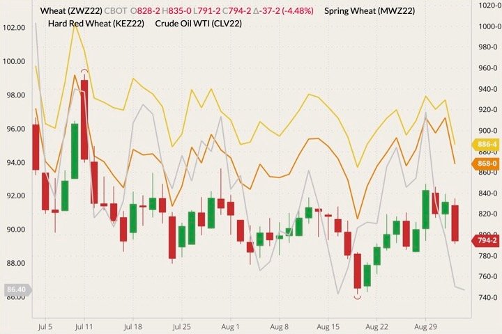 CBOT December 2022 wheat (candlesticks, right column) with MGEX and K.C. December 2022 wheats (yellow and orange lines, right column) and October 2022 West Texas Intermediate (WTI) crude (gray line, left column). (Barchart)
