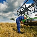 combine in the field